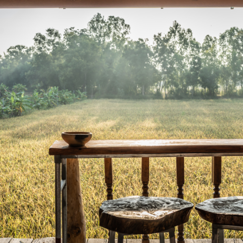 Como montar um hotel fazenda?